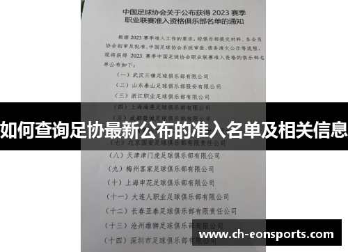 如何查询足协最新公布的准入名单及相关信息