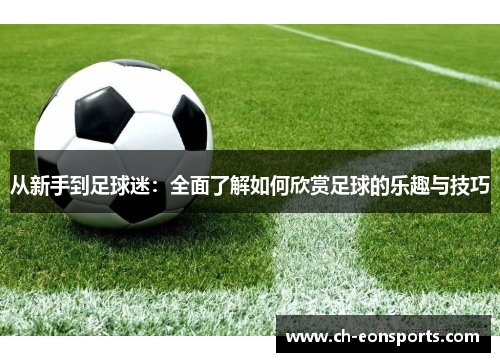 从新手到足球迷：全面了解如何欣赏足球的乐趣与技巧