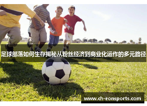 足球部落如何生存揭秘从粉丝经济到商业化运作的多元路径 足球部落如何生存揭秘从粉丝经济到商业化运作的多元路径